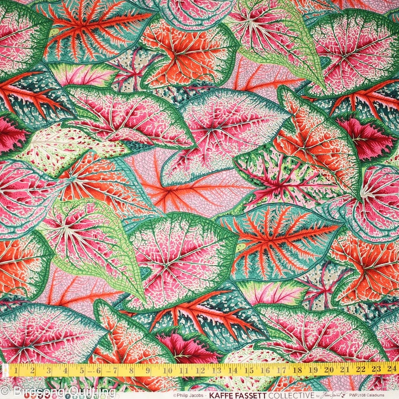 Kaffe Fassett Collective - Bright Caladiums