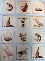 Yoga is for Everyone - Pat. 8301 Col. Blue - International Textiles