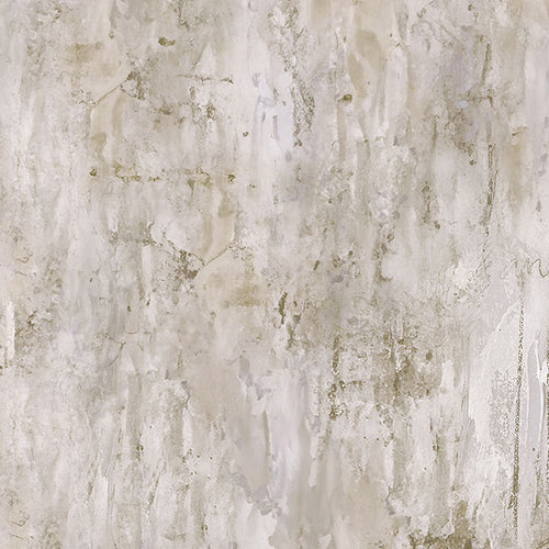 Northcott Studio - Poppy Meadow DP29091-12 Wash Texture Taupe