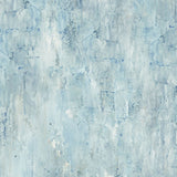Northcott Studio - Poppy Meadow DP29091-42 Wash Texture Blue