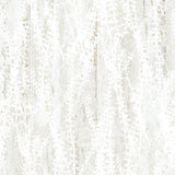 Northcott Studio - Poppy Meadow DP29092-10 Woodgrain White