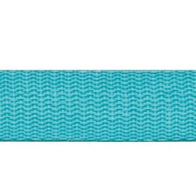 Polypropylene Webbing - 25mm (1")