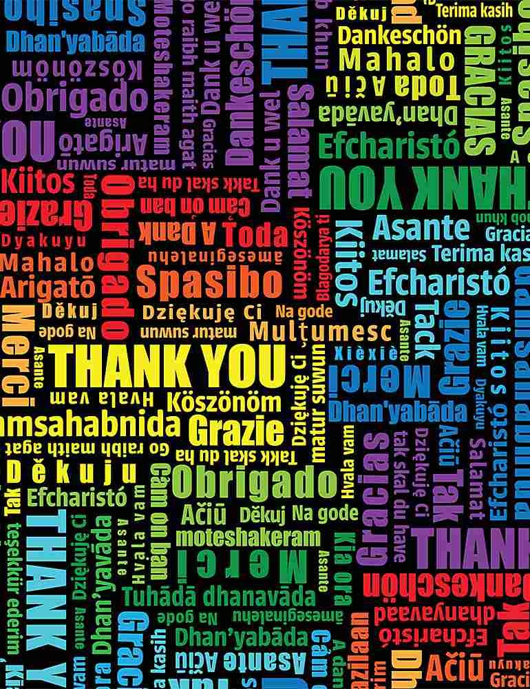 Timeless Treasures - Thanks Multilingual