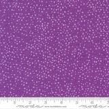 Moda - Robin Pickens - Pansy's for Posies - Plum Dots - 48715-35