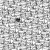 White Packed Cats 108in Quilt Back