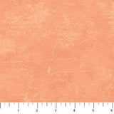 Deborah Edwards Canvas - 9030-54 Melon