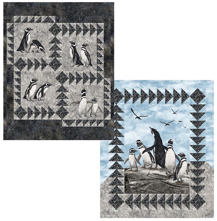 Magdalena Penguin Rock Pattern - PTN2672-10
